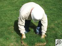 Restoring the landscaping by replacing removed sod on the ground for a Jackson home.