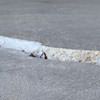 Slab floor cracks showing in a Thermopolis home