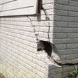foundation walls cracked due to settlement in Sheridan