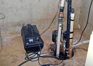 Pedestal sump pump system installed in a home in Douglas
