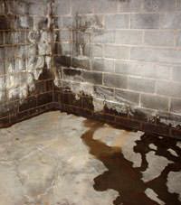 Water seeping through a concrete wall in a Wheatland basement