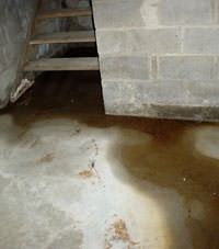 Flooding floor cracks by a hatchway door in Edgerton