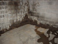 flooded basement with leaky basement walls in Clearmont, WY