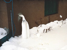 IceGuard® Installed Laramie